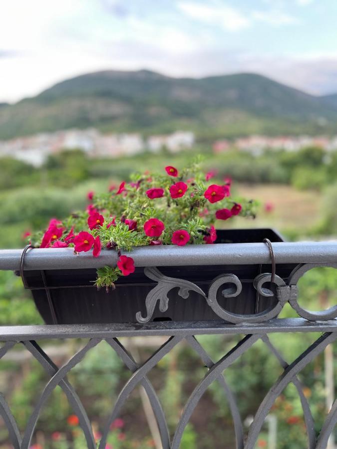 Petivat Gardens Daire Dış mekan fotoğraf