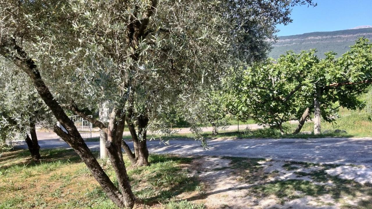 Petivat Gardens Daire Dış mekan fotoğraf