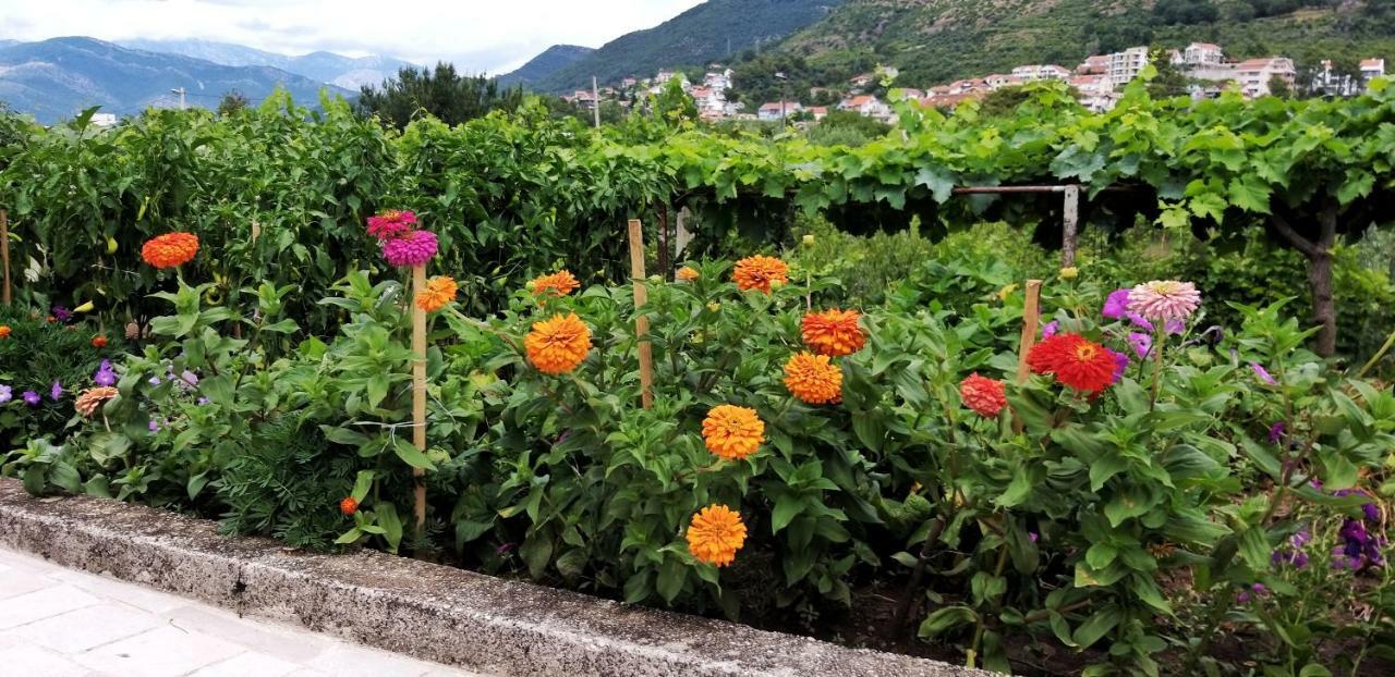 Petivat Gardens Daire Dış mekan fotoğraf